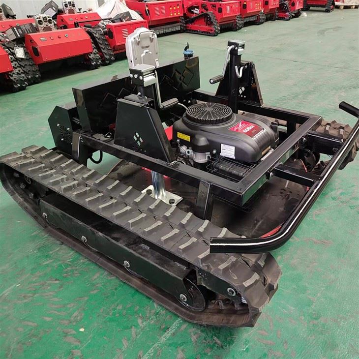 Robotic Lawn Mower